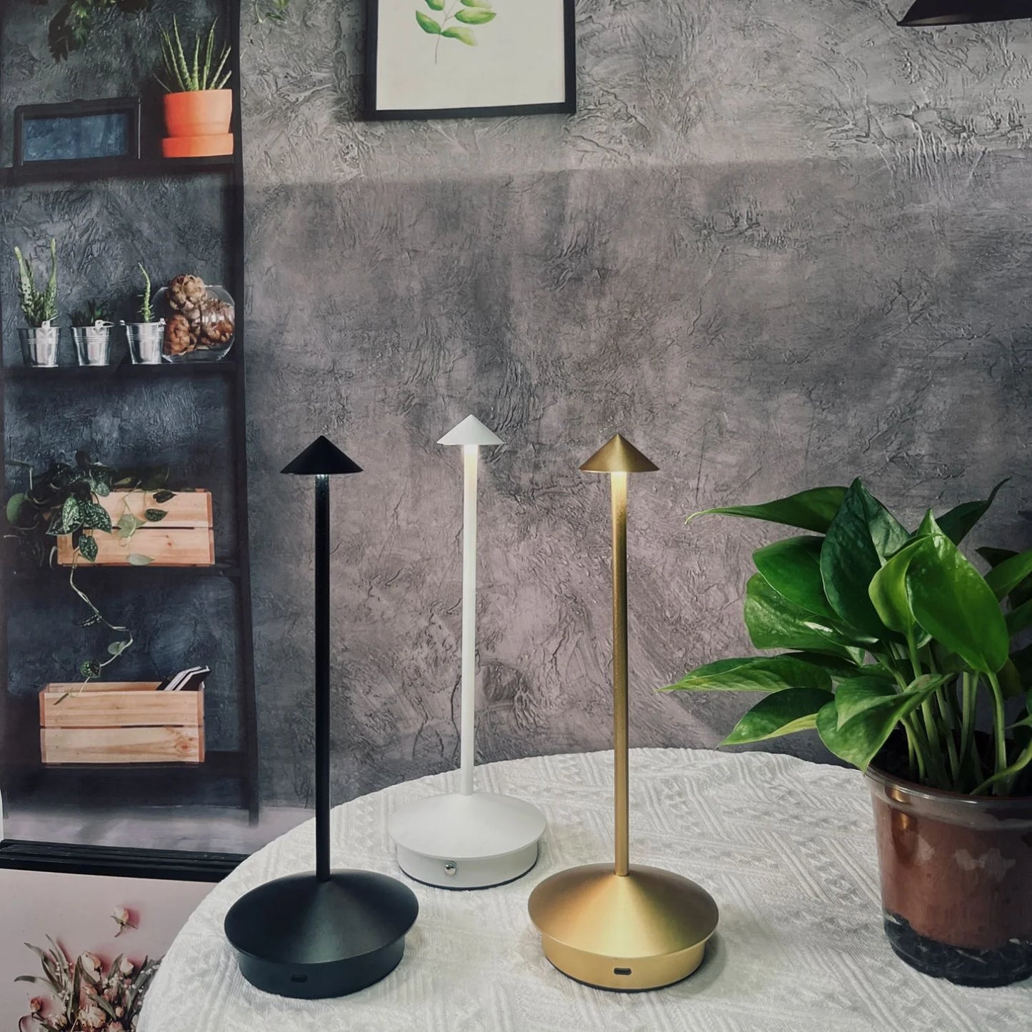 LW™ Cordless Lamp